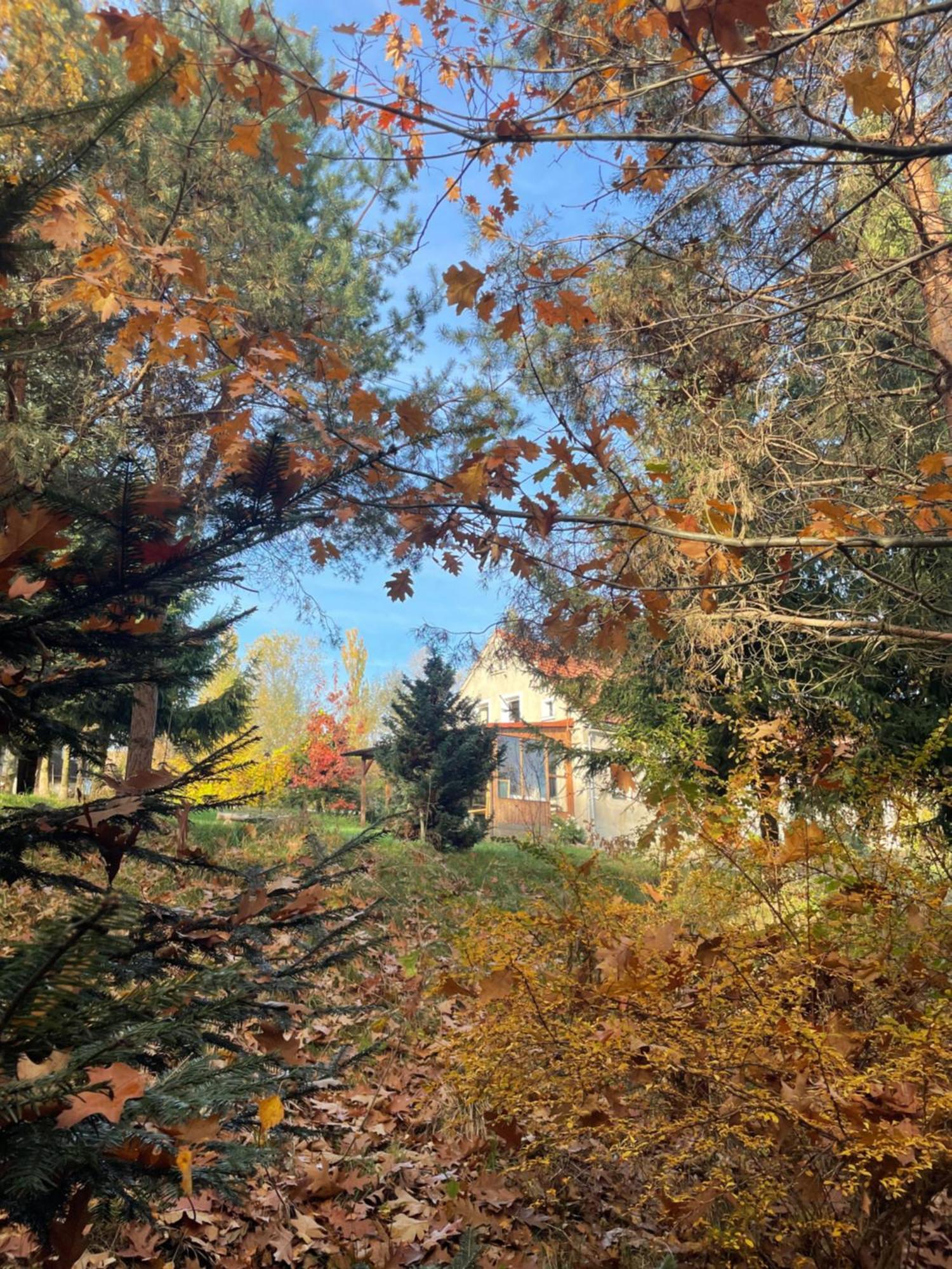 Villa Dziejba Izerska à Giebultow  Extérieur photo
